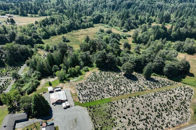 Building Photo - 3bd/2ba Issaquah House
