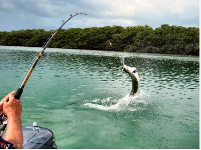 Building Photo - 5858 Star Grass Ln