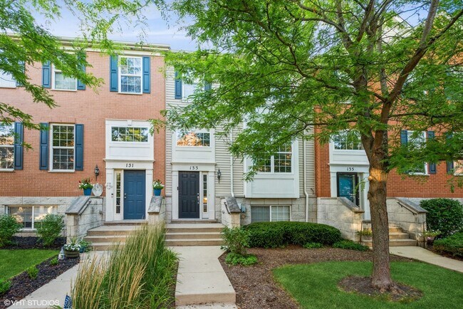 Primary Photo - 133 Willey St