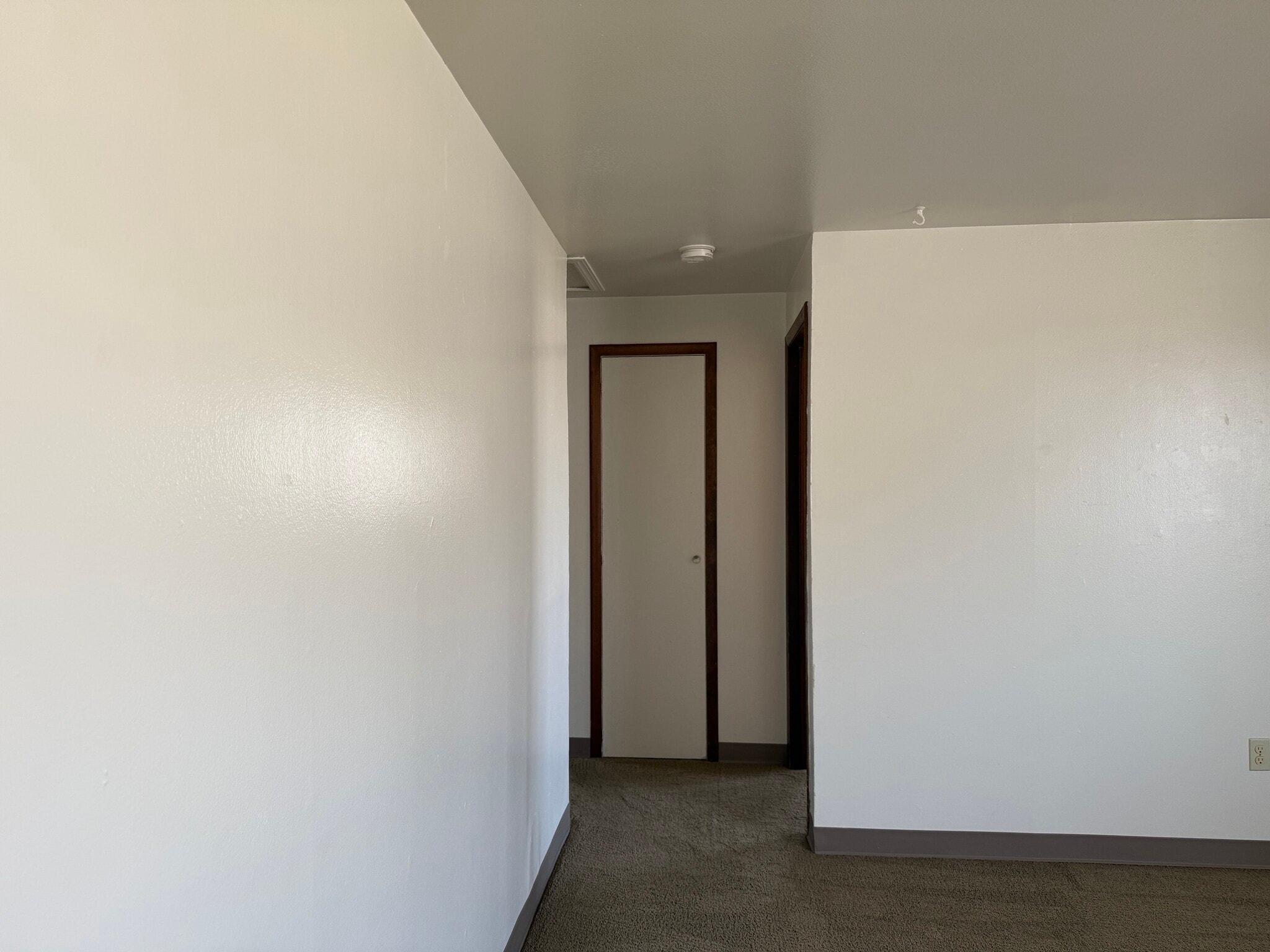 Building Photo - 1207 Patton Blvd