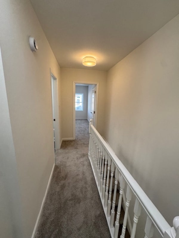 Building Photo - 821 N Collington Ave