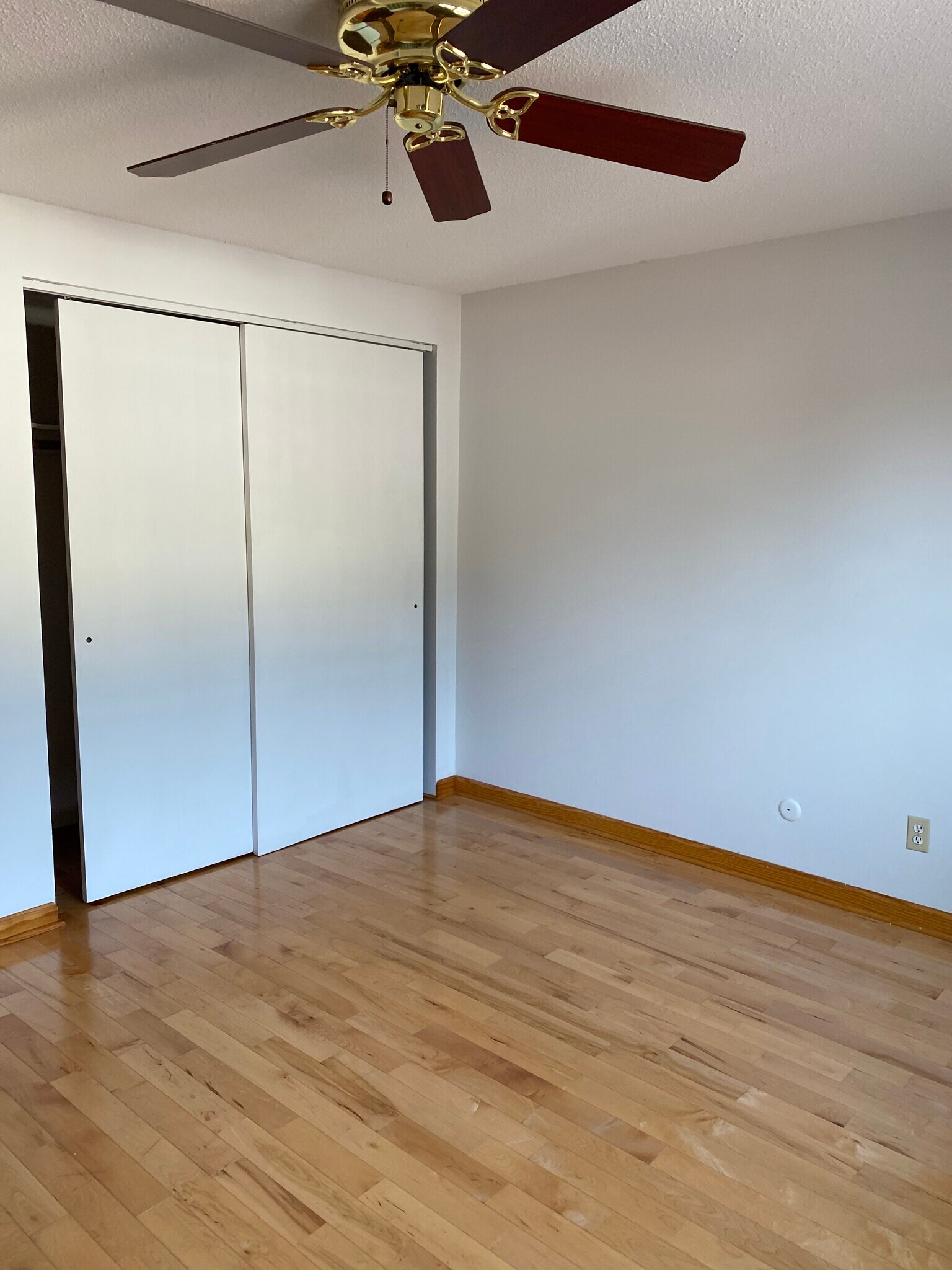 Bedroom 2 - 17 Stoneledge Ct