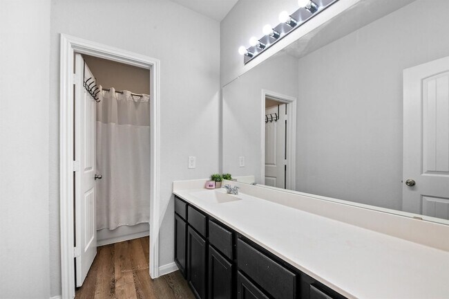Building Photo - 3915 Calasso Ct