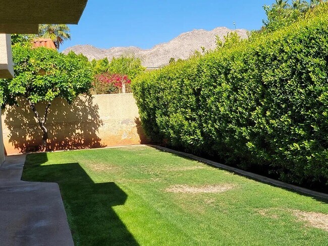 Back yard with mountain views - 72836 Mesa View Dr