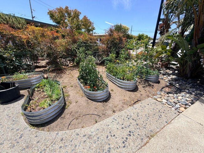 Building Photo - San Mateo 4Bed/2Ba Eichler Home with Putting Green, Vegetable Garden & Designer Finishes