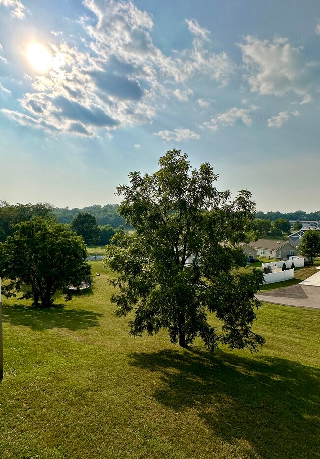 Beautiful green space out your back door - 2312-B Belle Ave NE