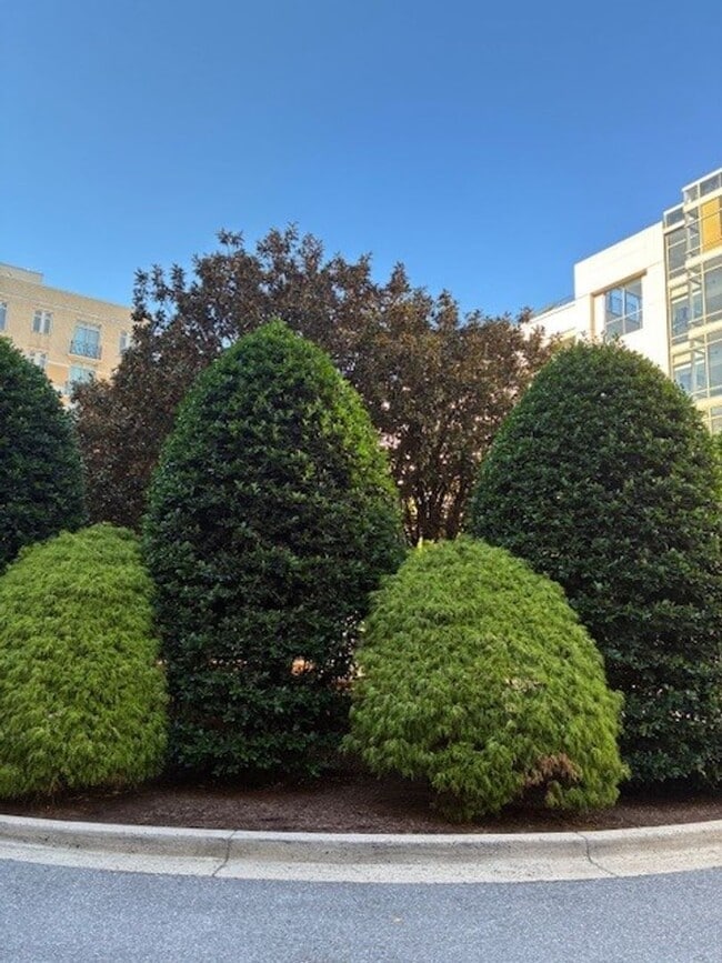 Building Photo - Luxury Condo in National Harbor