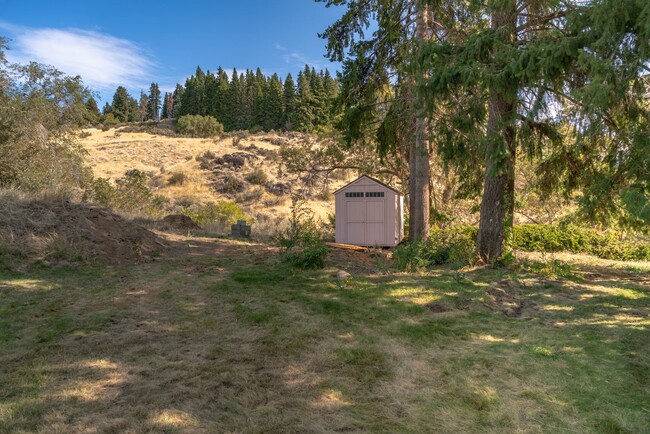 Building Photo - 3 Bedroom 1 Bath