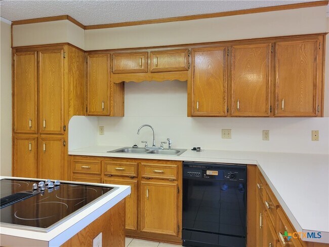 Building Photo - 1511 Wild Ridge Dr