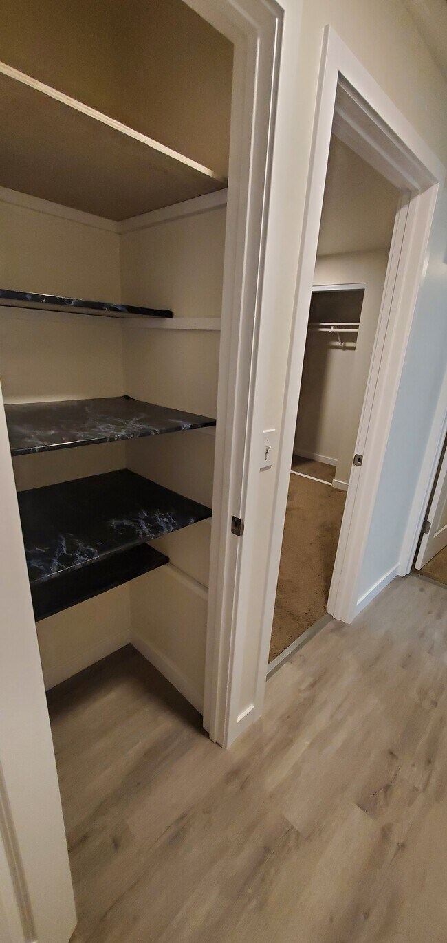 Hall closet - 456 Front St N