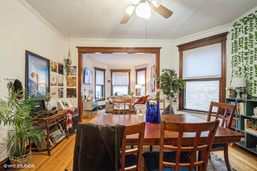 Dining looking to living - 1233 W Newport Ave