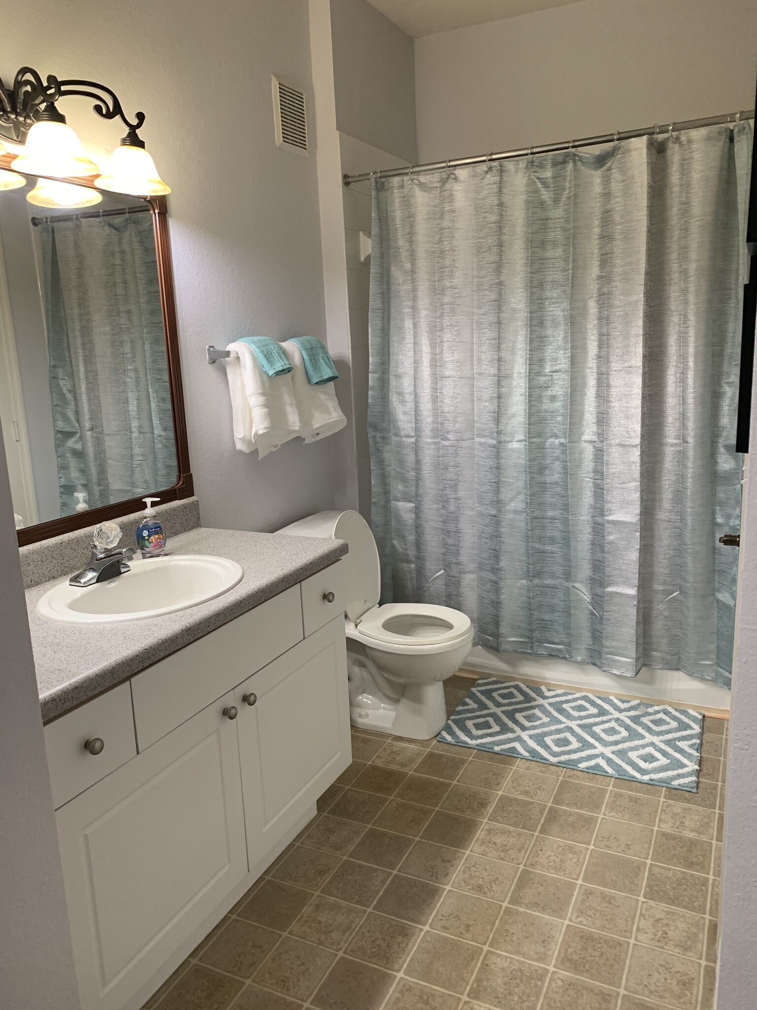 Spare Bathroom - 5692 Star Rush Dr
