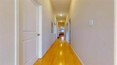 Building Photo - Beautiful  Studio in the Sunset in CO-LIVI...