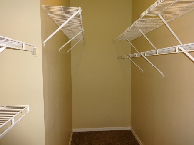 Building Photo - 2462 St Johns Ln
