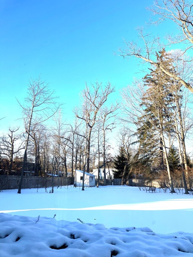 Building Photo - 544 Ravine Ave