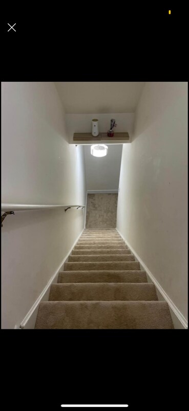 Building Photo - 4461 Starling Ct