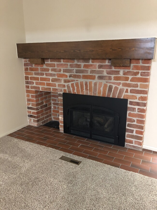 14 Gas fireplace - 2941 W Long Dr