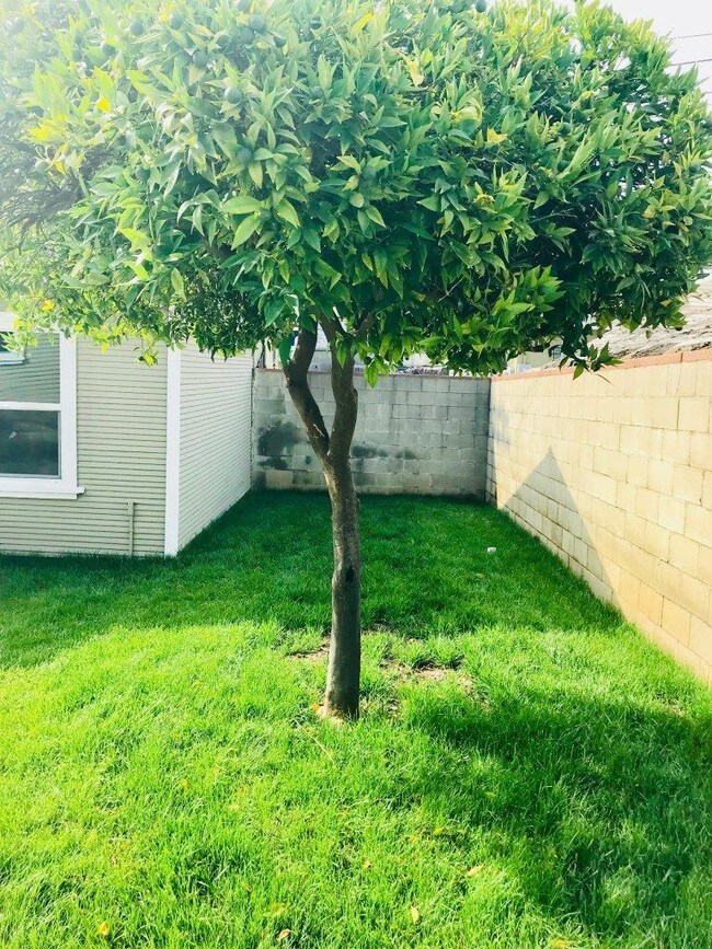 Backyard and Garage - 4910 Monte Vista St