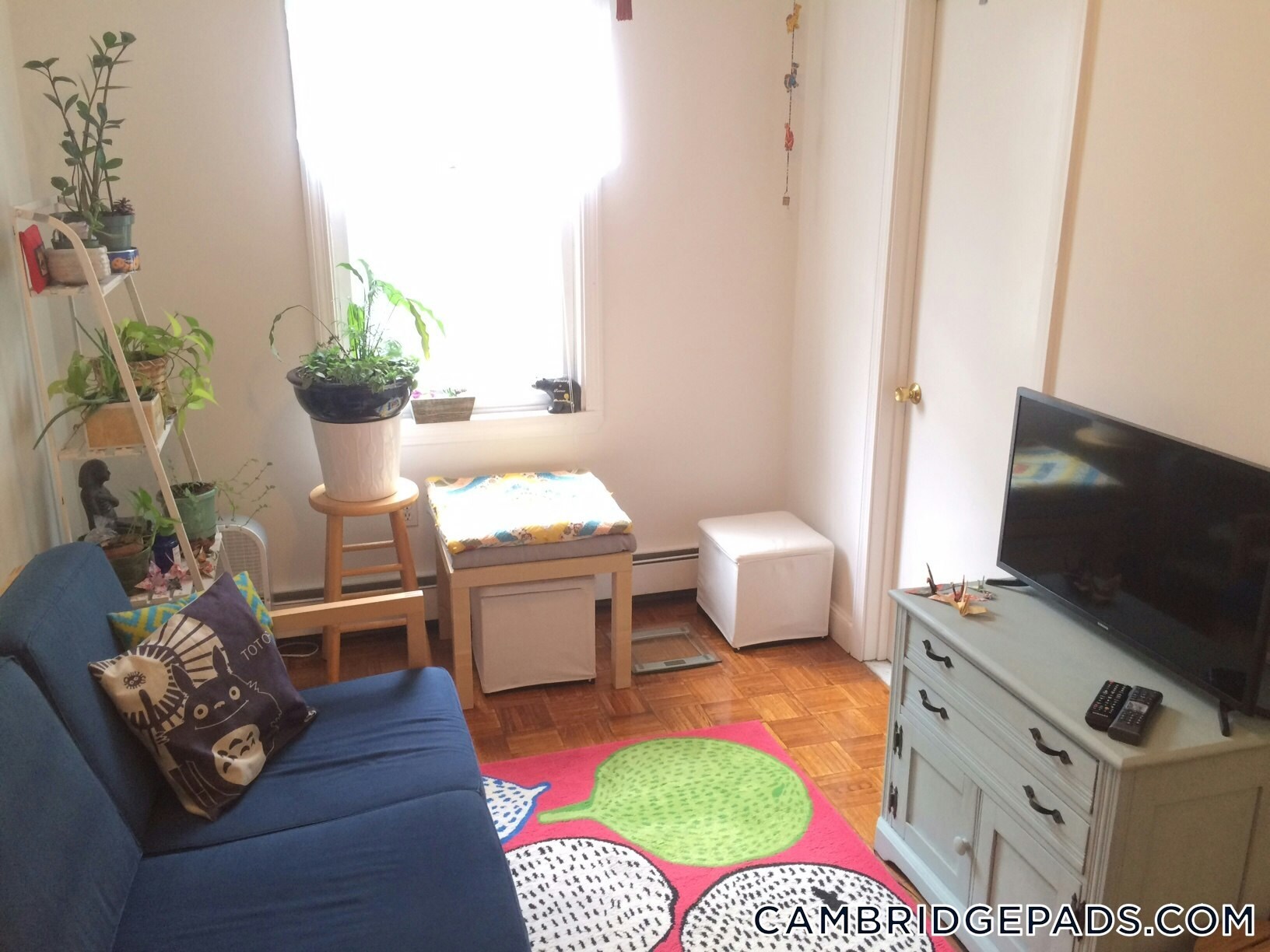 Building Photo - 1124 Cambridge St