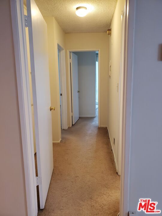 Building Photo - 6199 Canterbury Dr