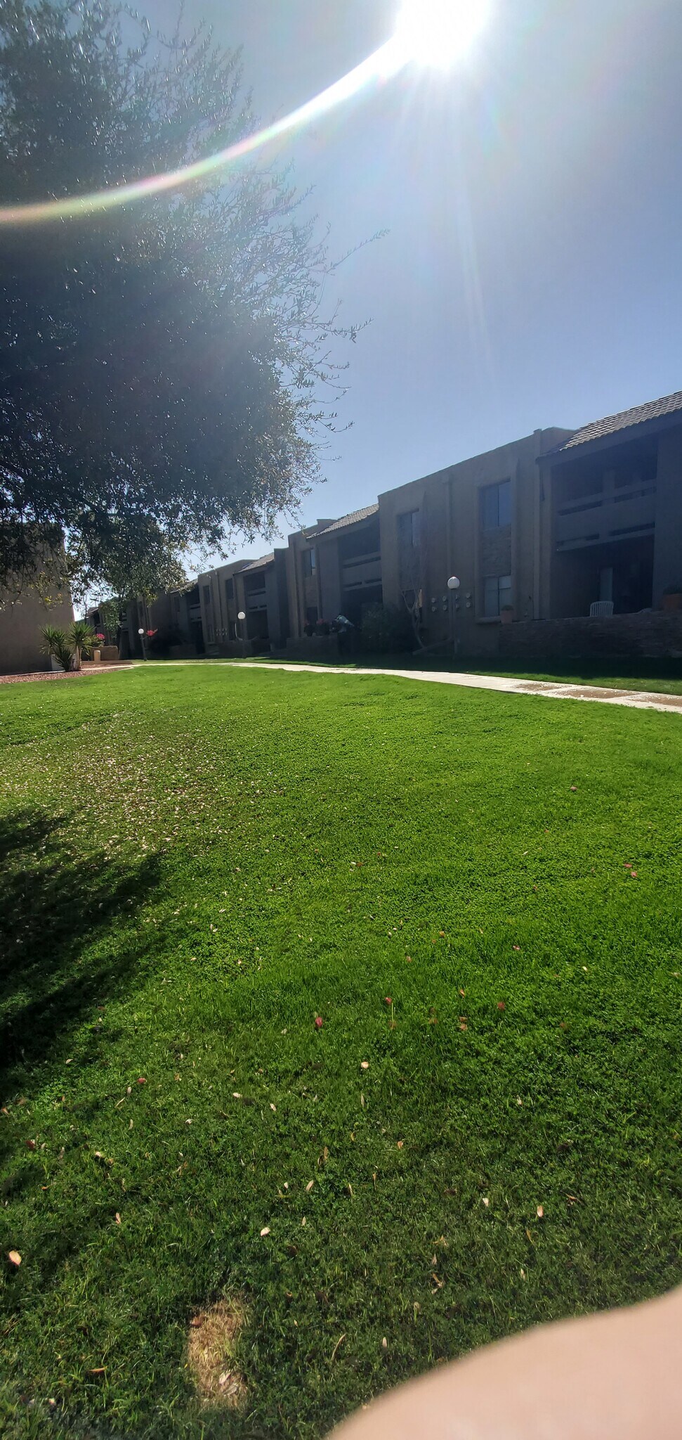 Building Photo - 3825 E Camelback Rd