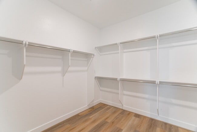 Building Photo - 11 Mariposa Wds Dr