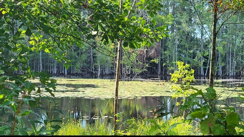 Building Photo - 225 Circle Dr