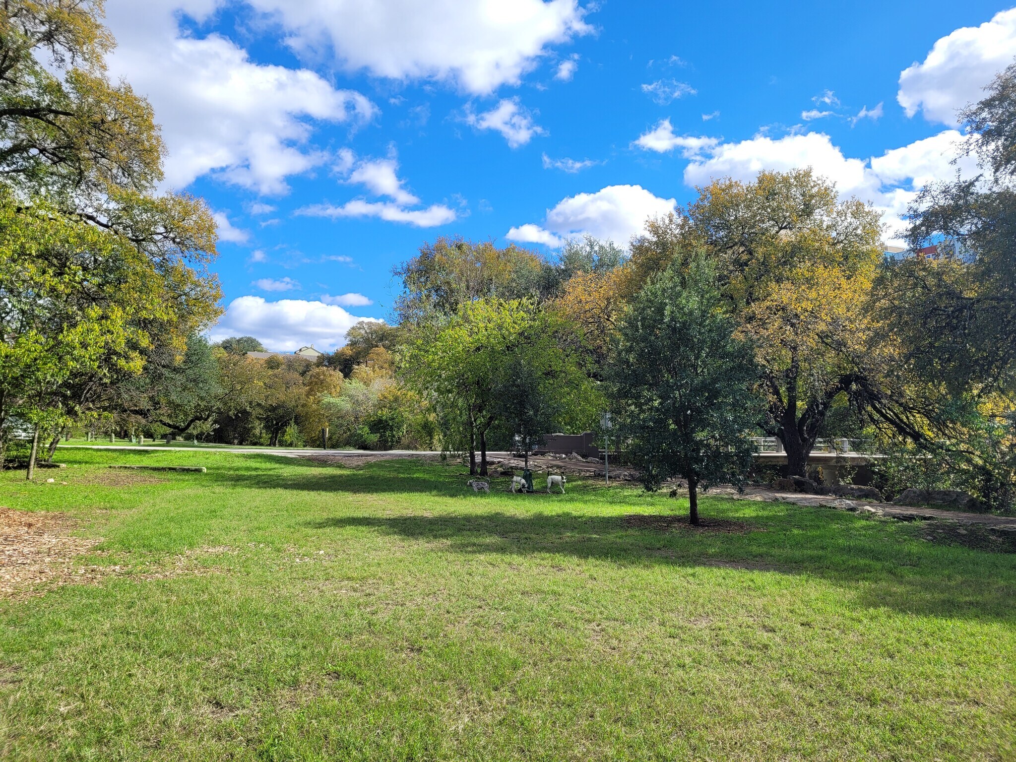 Dog Park at Shoal Creek - 2913 Pearl St