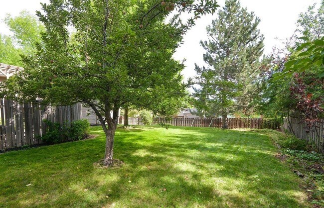 Building Photo - Beautiful 4 Bedroom Home in Midtown Fort Collins!
