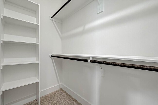 Building Photo - 3038 Live Oak St