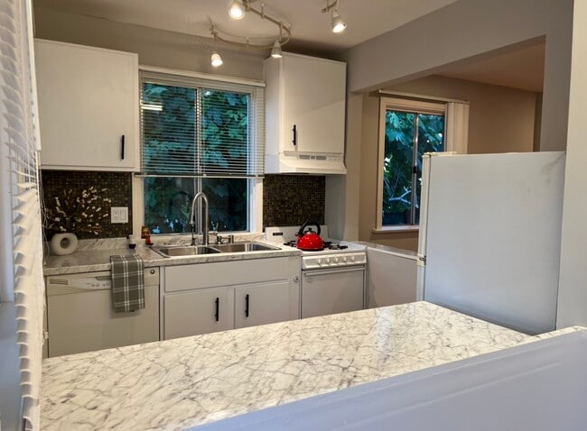 Brand New Cabinets, Sink, and Countertop - 11022 Leolang Ave