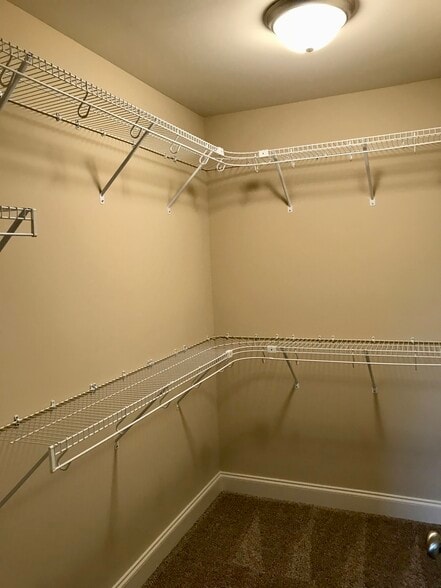 Large walk-in closet with plenty of shelving - 891 Old Vinton Mill Rd NE Unit B