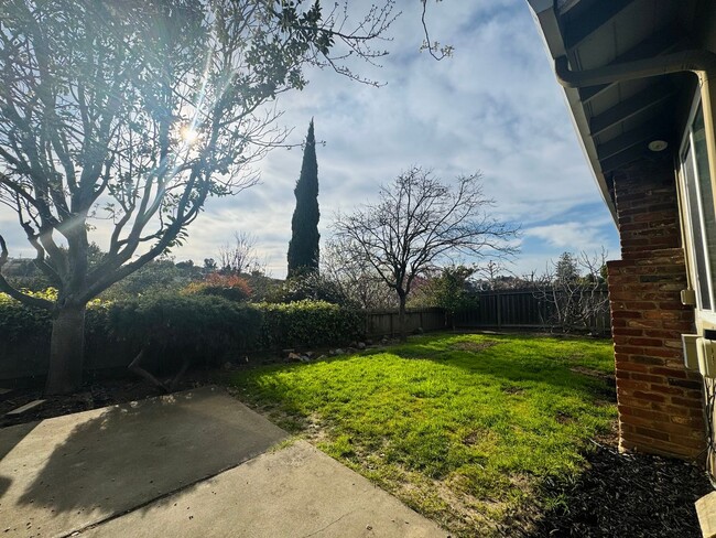 Building Photo - Beautiful Home in Castro Valley