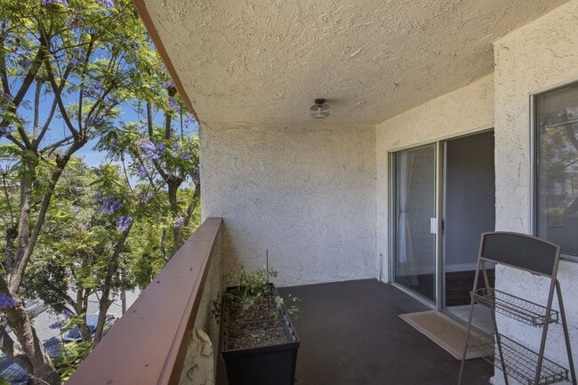Building Photo - 2444 E Del Mar Blvd