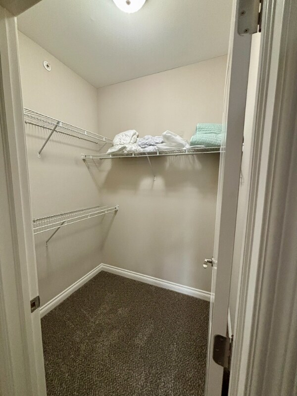 Building Photo - 2493 Sweet Home Rd