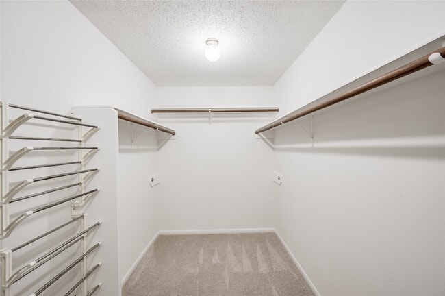 Building Photo - 3342 Bluebonnet Meadows Ln