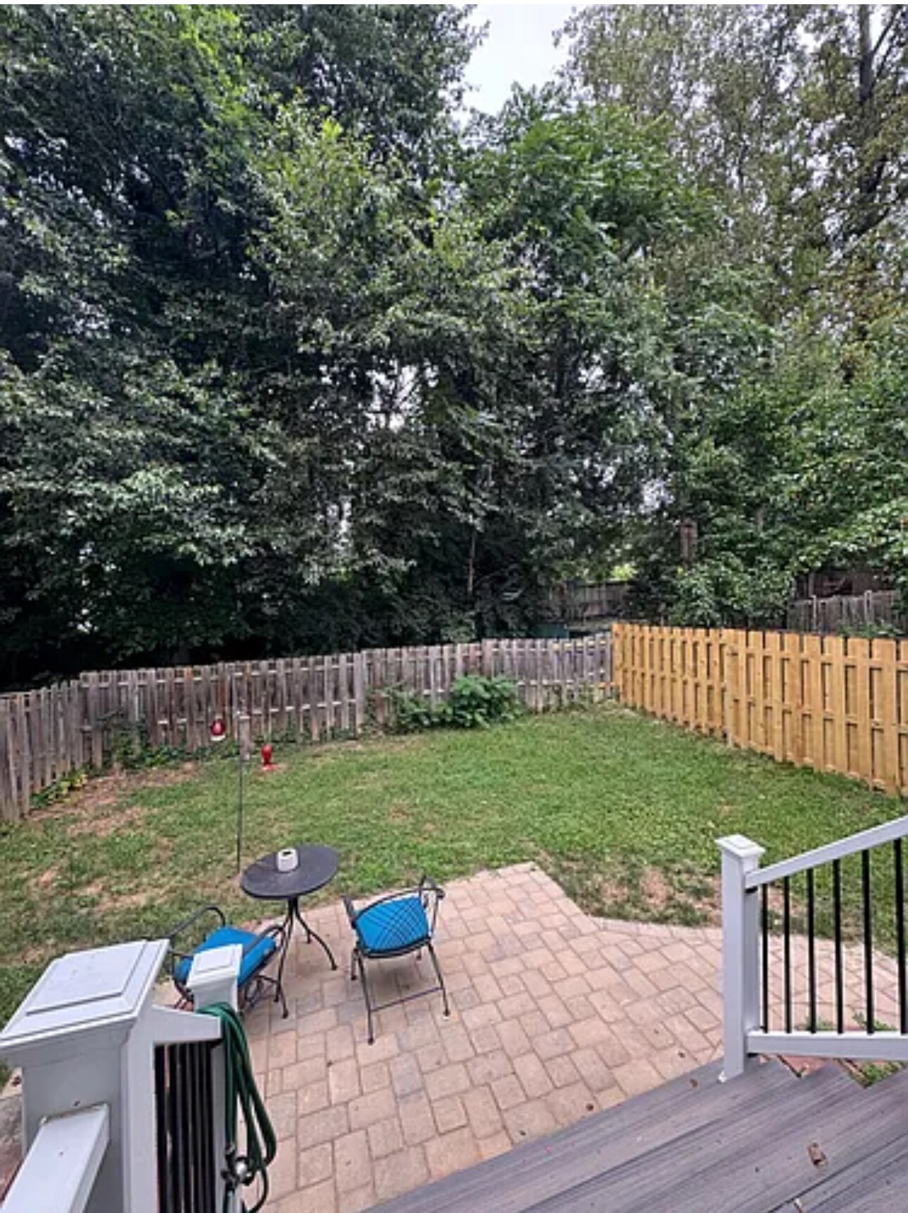 back yard - 3034 Hickory Grove Ct