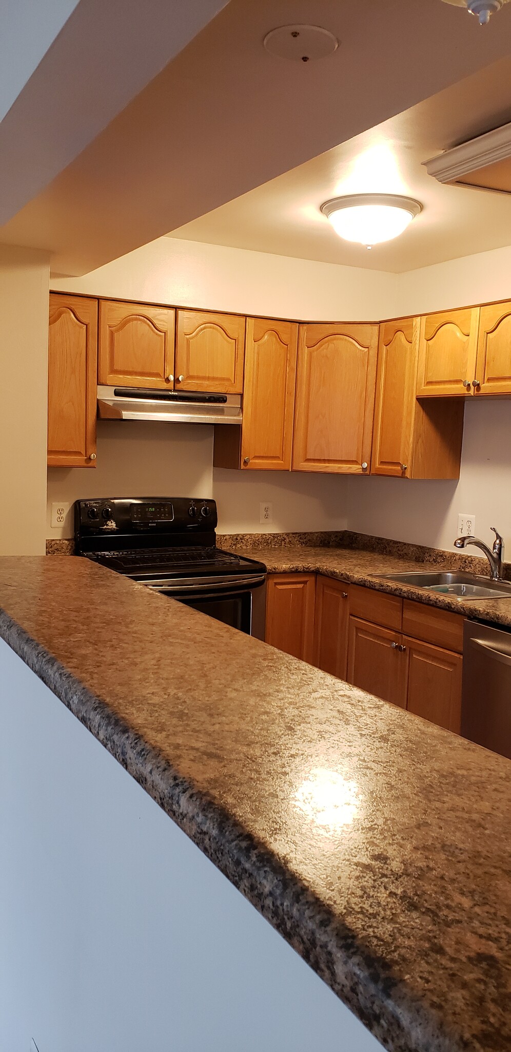 Open kitchen, great light - 6301 Stevenson Ave