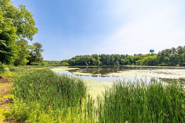 Building Photo - 81 Main St