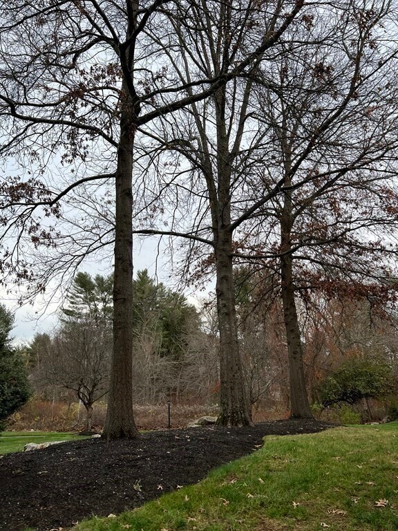 Building Photo - 16 Montvale Ave
