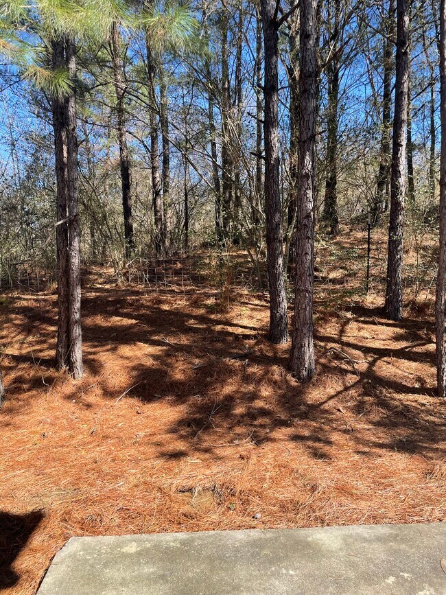 Building Photo - 3459 Misty Hollow Dr