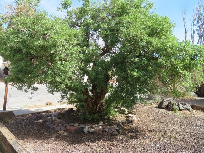 Building Photo - Clean 3 Bedroom 2 Bath Home For Rent