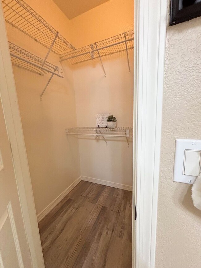 Building Photo - Single Level San Tan Valley Home