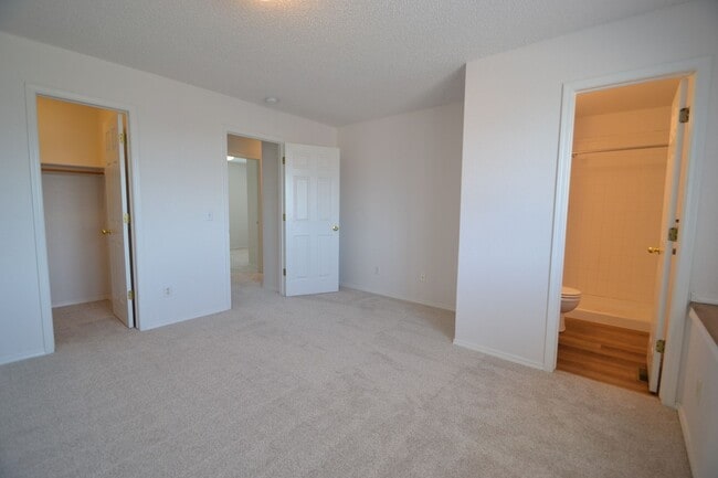 Building Photo - Newly Remodeled 3 Bedroom!