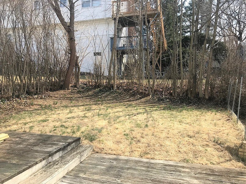 Building Photo - 156 Hill St