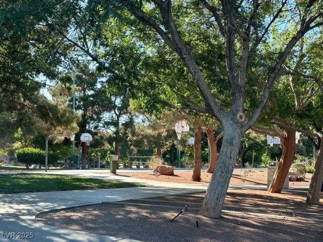 Building Photo - 285 Spring Palms St