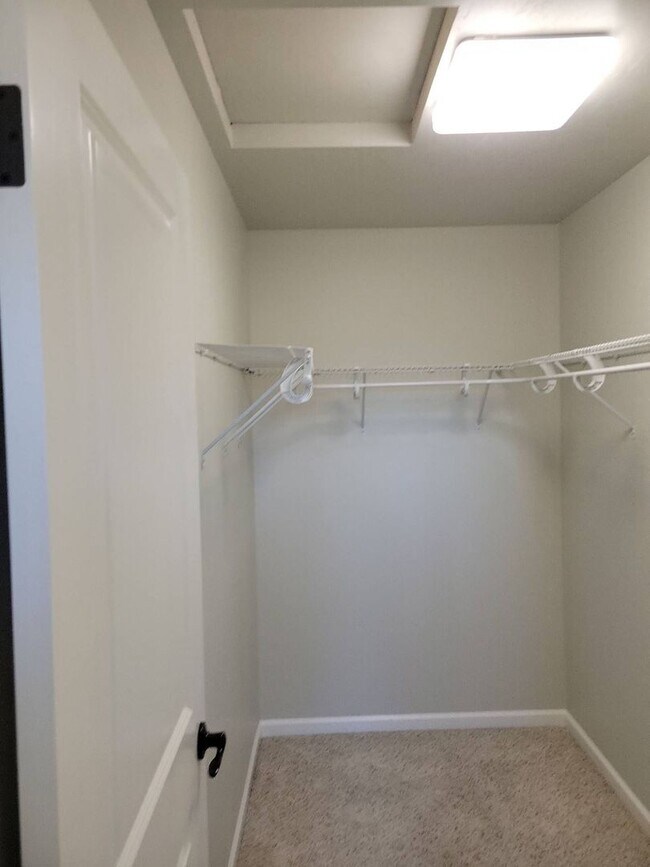 Building Photo - Live it up in Jacksonville's McCully Lane ...