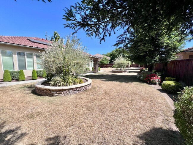 Building Photo - $2,695 Bullard & Hwy 99, 4 Bedroom With So...