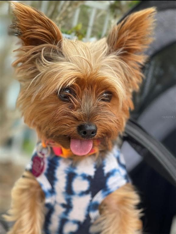 Building Photo - 12432 Palatka Dr