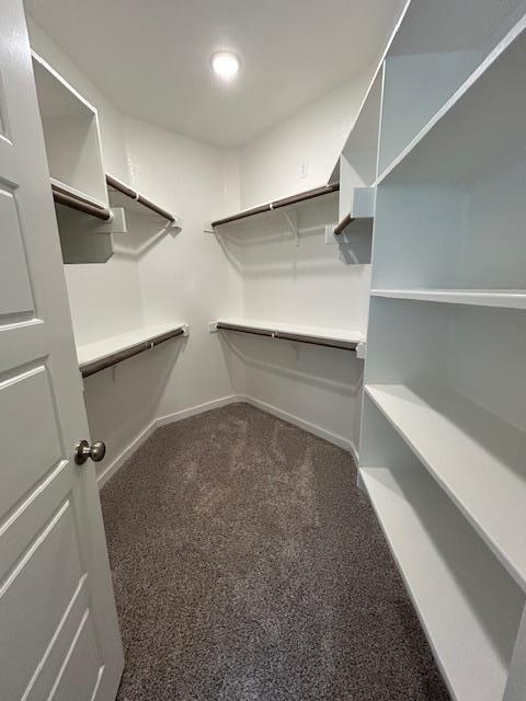 Building Photo - 4078 Estes Ct